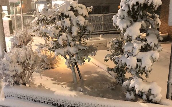 Extreme Weather: Japan Hit by Heavy Snow, Flights Disrupted - Sputnik International