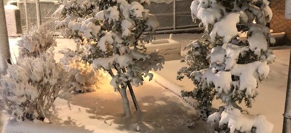 2 2 - Sputnik International