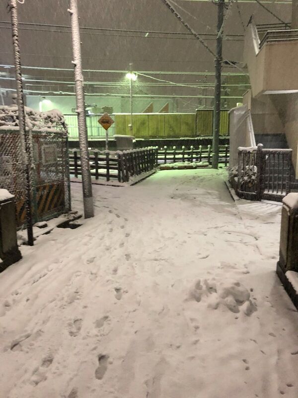 Extreme Weather: Japan Hit by Heavy Snow, Flights Disrupted - Sputnik International