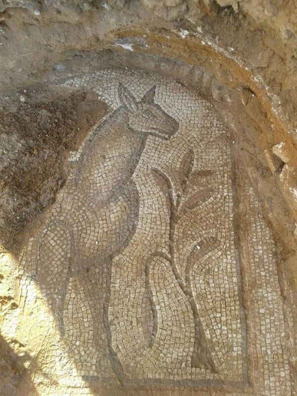Syrian army discovered ancient Byzantian mosaics in Hama Syrian army discovered ancient Byzantian mosaics in Hama - Sputnik International