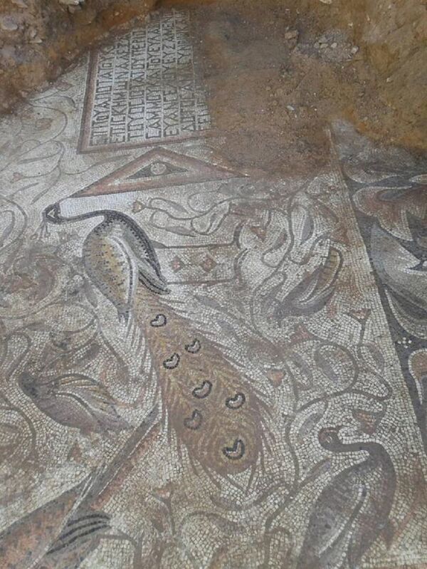 Syrian army discovered ancient Byzantian mosaics in Hama Syrian army discovered ancient Byzantian mosaics in Hama - Sputnik International
