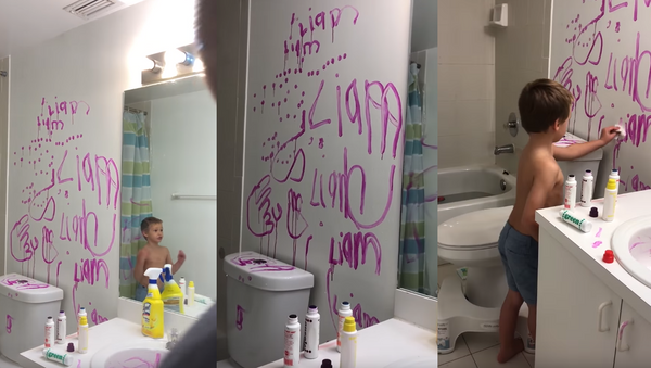 ‘He Had Bloody Teeth!’: Boy Blames Monster for Bathroom Vandalism - Sputnik International