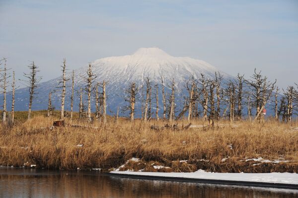 Russia's Kurilsky Reserve: Magnificent Nature Retreat in the Land of Volcanoes - Sputnik International
