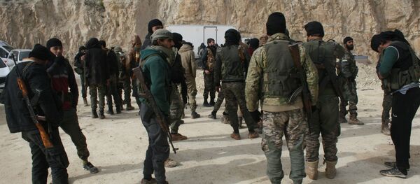 FSA fighters in Afrin, Syria - Sputnik International