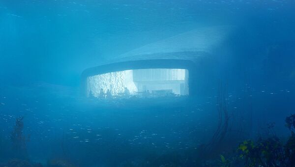 Under underwater restaurant - Sputnik International