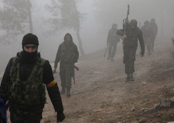 Turkish-backed Free Syrian Army fighters are seen near Mount Barsaya, northeast of Afrin, Syria - Sputnik International