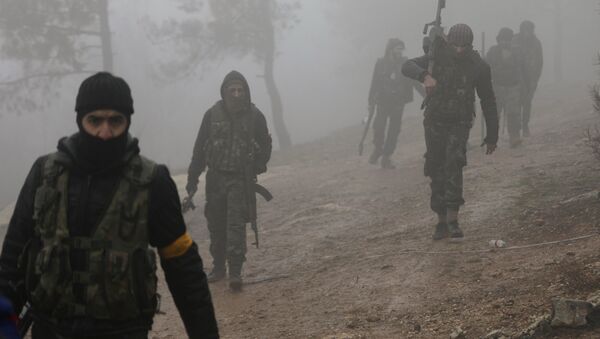 Turkish-backed Free Syrian Army fighters are seen near Mount Barsaya, northeast of Afrin, Syria - Sputnik International