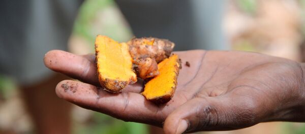 Turmeric root cut in half. Turmeric root cut in half. - Sputnik International