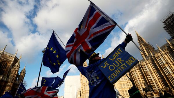Anti-Brexit protesters demonstrate opposite the Houses of Parliament in London, Britain, January 16, 2018 - Sputnik International