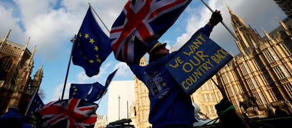 Anti-Brexit protesters demonstrate opposite the Houses of Parliament in London, Britain, January 16, 2018 Anti-Brexit protesters demonstrate opposite the Houses of Parliament in London, Britain, January 16, 2018 - Sputnik International