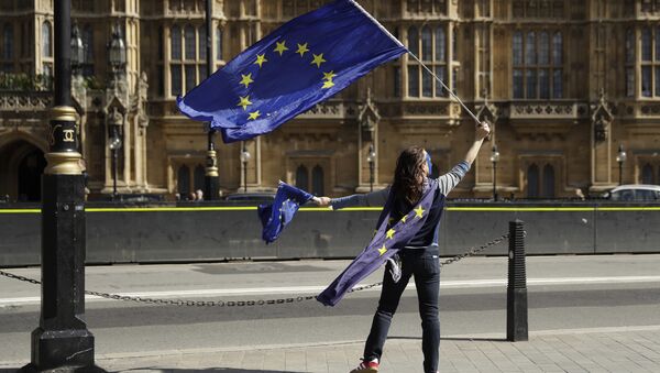 A pro-remain supporter of Britain staying in the EU, holds up an EU flag whilst taking part in an anti-Brexit protest outside the Houses of Parliament in London (File) - Sputnik International