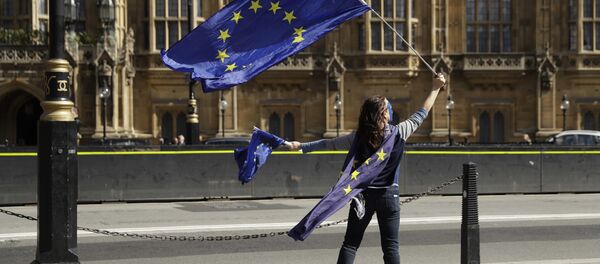 A pro-remain supporter of Britain staying in the EU, holds up an EU flag whilst taking part in an anti-Brexit protest outside the Houses of Parliament in London (File) - Sputnik International