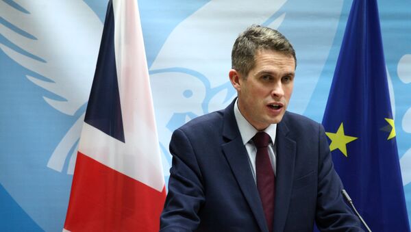 British Defence Secretary Gavin Williamson speaks to the media during a news conference in Nicosia - Sputnik International