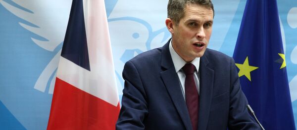British Defence Secretary Gavin Williamson speaks to the media during a news conference in Nicosia British Defence Secretary Gavin Williamson speaks to the media during a news conference in Nicosia - Sputnik International