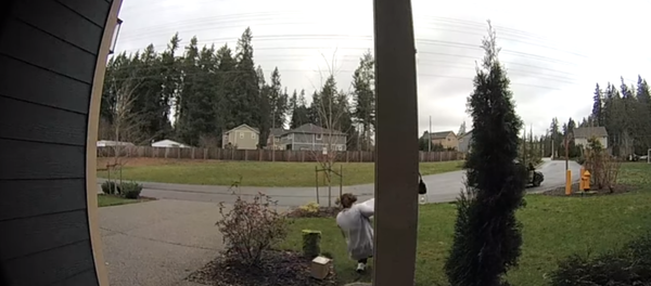 Porch robber injures leg after slipping on wet grass in Washington state - Sputnik International