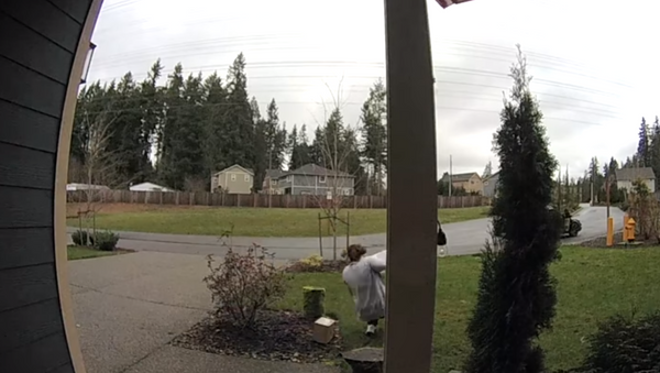 Porch robber injures leg after slipping on wet grass in Washington state - Sputnik International