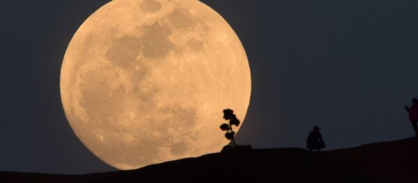 A person poses for a photo as the moon rises over Griffith Park in Los Angeles, California, on January 30, 2018 - Sputnik International