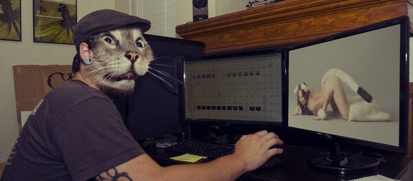 Porn cats - Sputnik International