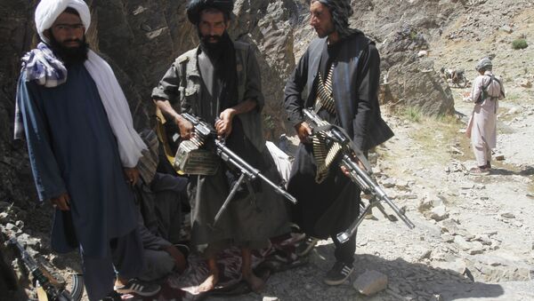 Members of a breakaway faction of the Taliban fighters guard during a patrol in Shindand district of Herat province, Afghanistan (File) - Sputnik International