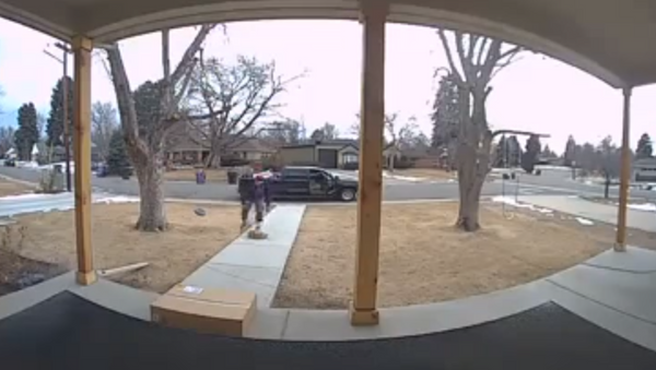 Colorado puppy gets taken from front lawn - Sputnik International
