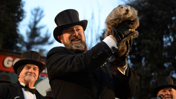 Groundhog co-handler A.J. Derume holds Punxsutawney Phil at Gobbler's Knob on the 132nd Groundhog Day in Punxsutawney, Pennsylvania, U.S. February 2, 2018 - Sputnik International