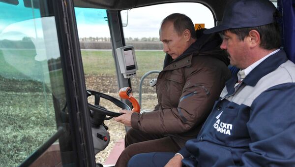Vladimir Putin seen inside the grain harvester (File) - Sputnik International