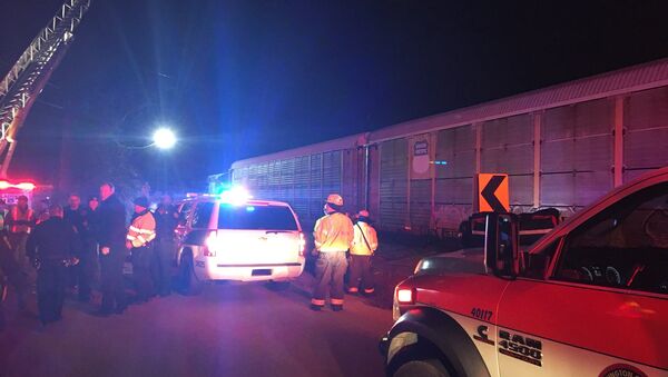 Train collision and derailment near Charleston Highway and Pine Ridge Rd. - Sputnik International