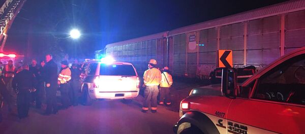 Train collision and derailment near Charleston Highway and Pine Ridge Rd. Train collision and derailment near Charleston Highway and Pine Ridge Rd. - Sputnik International