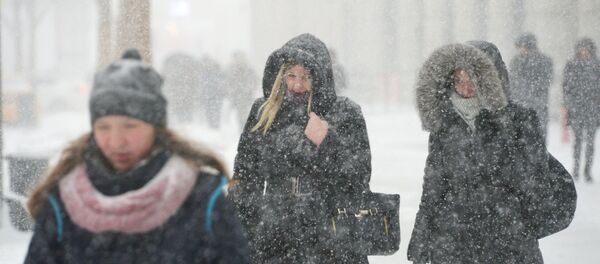 Snowfall in Moscow Snowfall in Moscow - Sputnik International