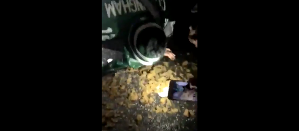 Philadelphia Eagles fan eats horse poop after Super Bowl win - Sputnik International