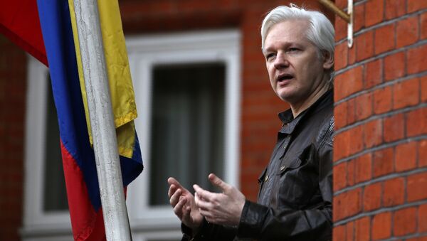 Wikileaks founder Julian Assange speaking on the balcony of the Embassy of Ecuador in London. (File) - Sputnik International