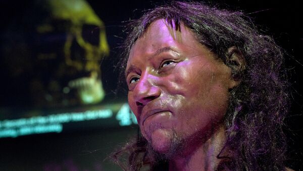 A full face reconstruction model made from the skull of a 10,000 year old man, known as 'Cheddar Man', Britain's oldest complete skeleton is pictured during a press preview at the National History Museum in London on February 6, 2018. - Sputnik International