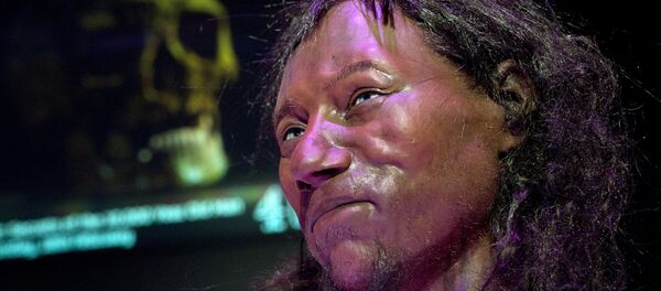A full face reconstruction model made from the skull of a 10,000 year old man, known as 'Cheddar Man', Britain's oldest complete skeleton is pictured during a press preview at the National History Museum in London on February 6, 2018. A full face reconstruction model made from the skull of a 10,000 year old man, known as 'Cheddar Man', Britain's oldest complete skeleton is pictured during a press preview at the National History Museum in London on February 6, 2018. - Sputnik International