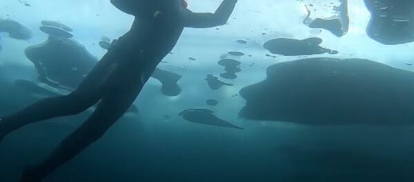 Extreme Swimmer Dived to a Depth of 26 Meters Under the Ice of Lake Baikal - Sputnik International