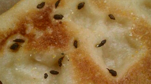 Upclose image of mouse droppings found on Indiana man's pizza Upclose image of mouse droppings found on Indiana man's pizza - Sputnik International
