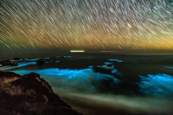 Bioluminescent phytoplankton is seen along the coastal waters at Big Sur, California, U.S., February 6, 2018. Bioluminescent phytoplankton is seen along the coastal waters at Big Sur, California, U.S., February 6, 2018. - Sputnik International