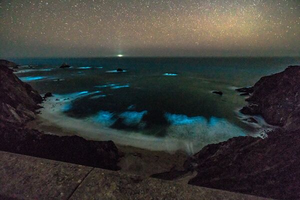 Bioluminescent phytoplankton is seen along the coastal waters at Big Sur, California, U.S., February 5, 2018. Bioluminescent phytoplankton is seen along the coastal waters at Big Sur, California, U.S., February 5, 2018. - Sputnik International