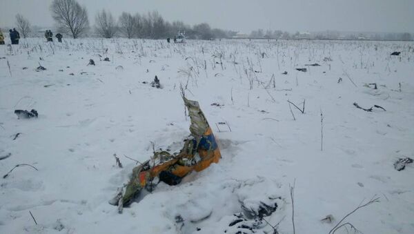 A view shows a scene where a short-haul regional Antonov AN-148 crashed after taking off from Moscow's Domodedovo airport, outside Moscow, Russia February 11, 2018 - Sputnik International