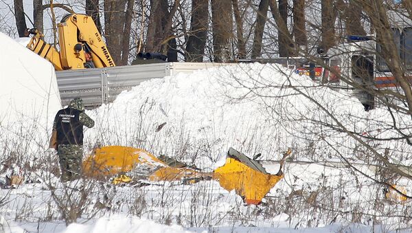 A man looks at wreckage near the scene of a AN-148 plane crash in Stepanovskoye village, about 40 kilometers (25 miles) from the Domodedovo airport, Russia - Sputnik International