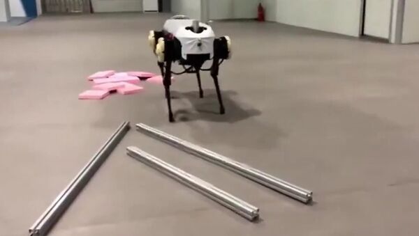 Robot dog - Sputnik International