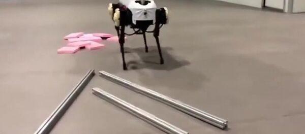 Robot dog Robot dog - Sputnik International