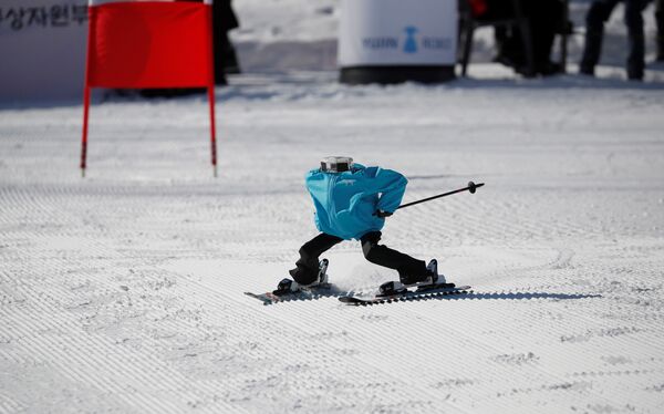 Robot Tae Kwon V skies during the Ski Robot Challenge at a ski resort in Hoenseong, South Korea, February 12, 2018. - Sputnik International