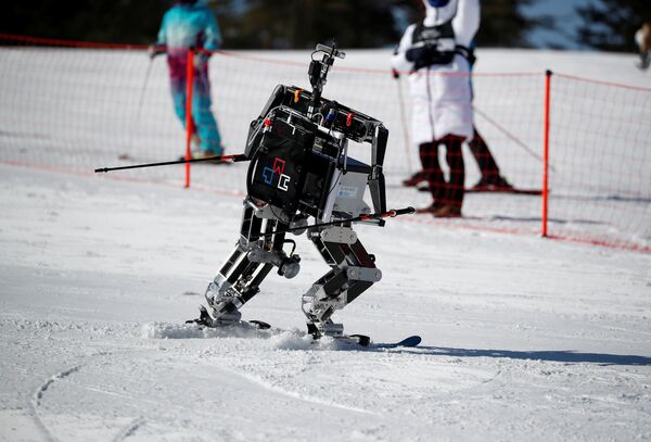 Robot Rudolph skies during the Ski Robot Challenge at a ski resort in Hoenseong - Sputnik International
