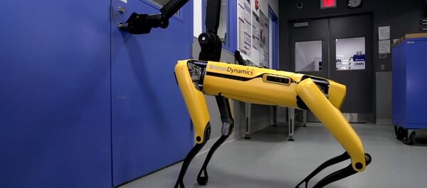 Hey Buddy, Can You Give Me a Hand? Hey Buddy, Can You Give Me a Hand? - Sputnik International