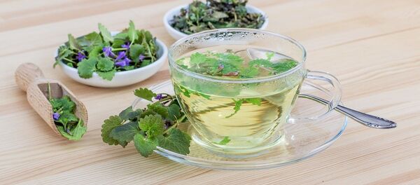 Herb tea - Sputnik International