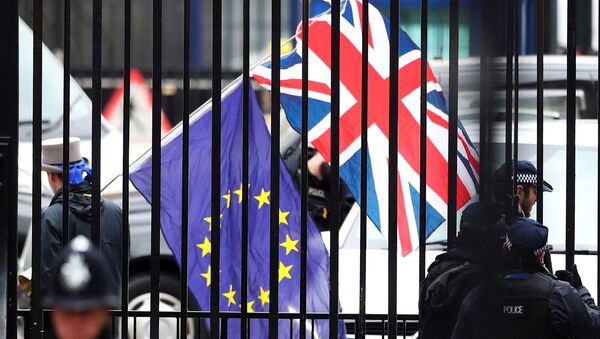 A demonstrator carries a Union Jack and a European Union flag as the EU's chief Brexit negotiator Michel Barnier visits Downing Street in London, Britain - Sputnik International
