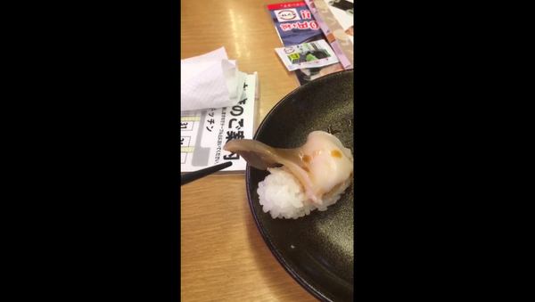Customer in Japan gets sushi that's still moving - Sputnik International