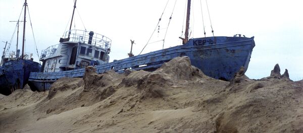Former Fishing Fleet of Aral Sea (File) Former Fishing Fleet of Aral Sea (File) - Sputnik International