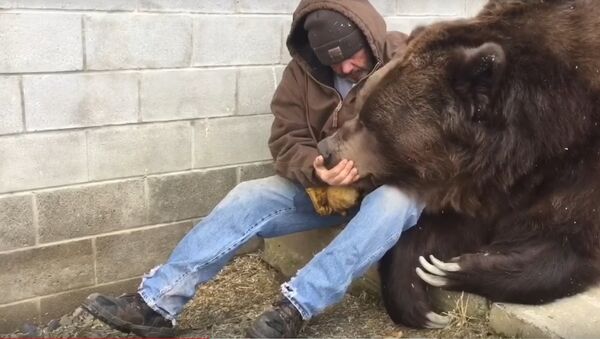 When your bear had a hard day and needs some extra love.... - Sputnik International