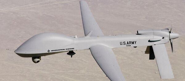 Gray eagle - Sputnik International